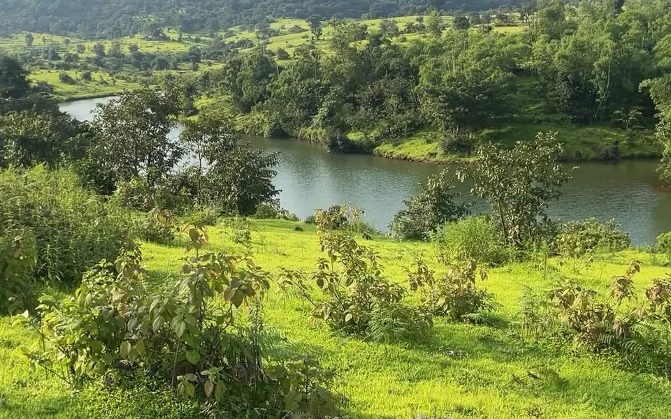 Bope location preview